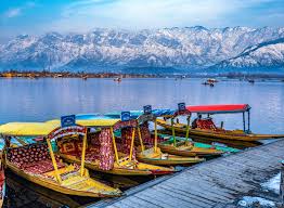 Kashmir Angling Tours